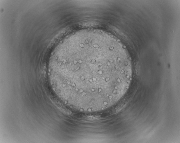 X0000069390737200606091716