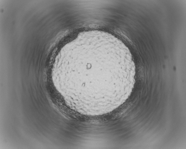 X0000069390738200606091716