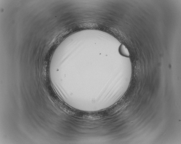 X0000069390739200606091716