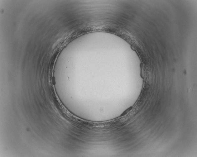 X0000069390740200606091716