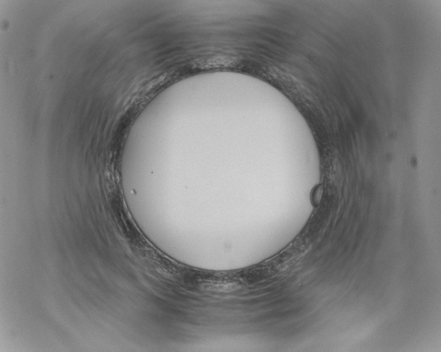 X0000069390743200606091716