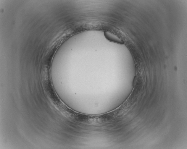 X0000069390744200606091716