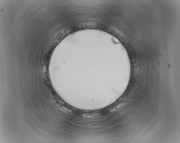 X0000069390745200606091716