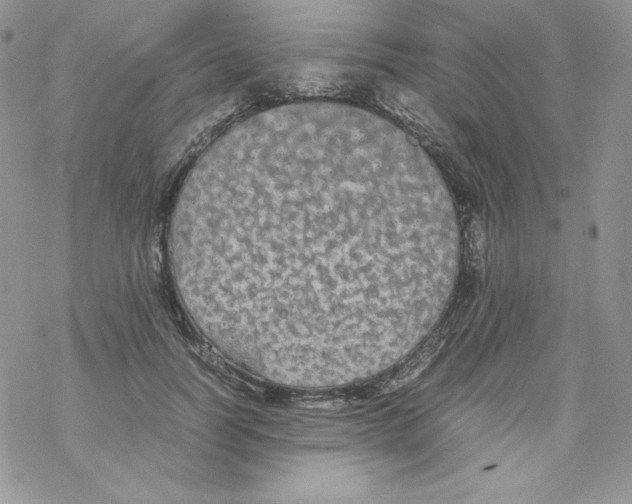 X0000069390746200606091716