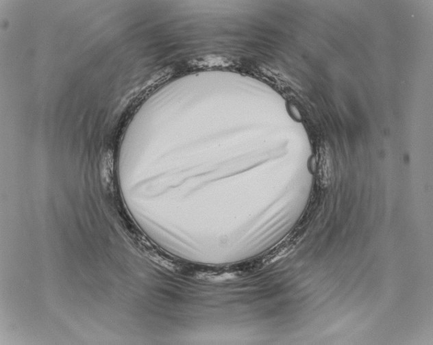 X0000069390747200606091716