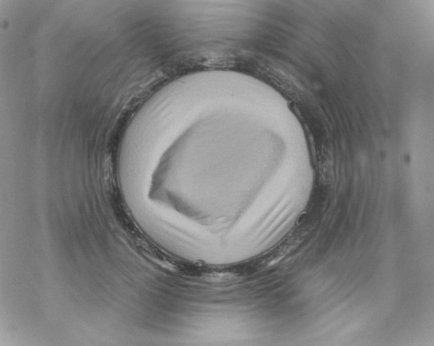 X0000069390748200606091716