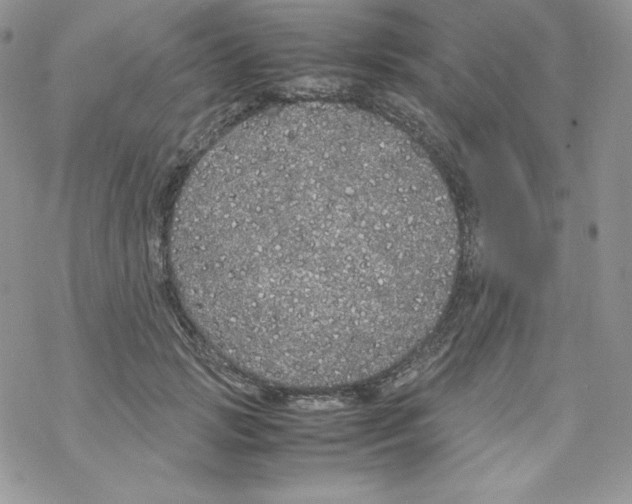 X0000069390749200606091716