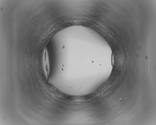 X0000069390750200606091716