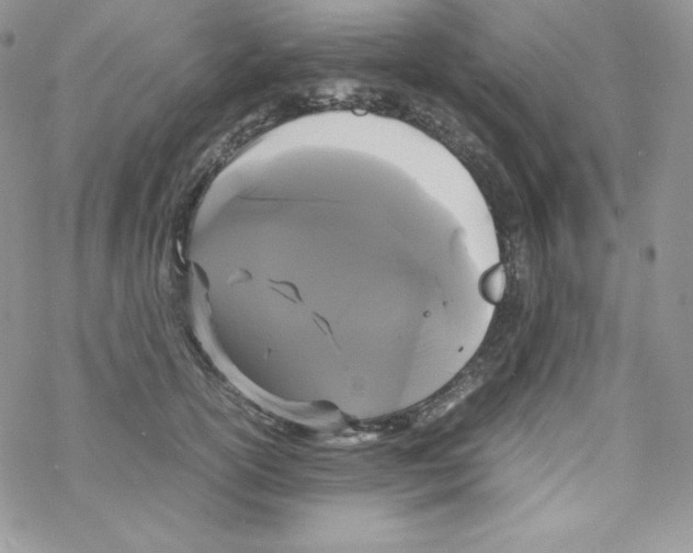 X0000069390754200606091716