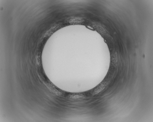 X0000069390755200606091716