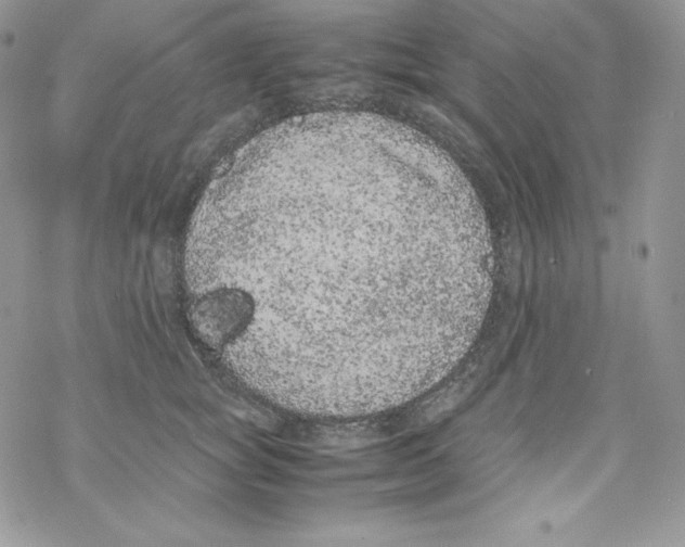 X0000069390757200606091716