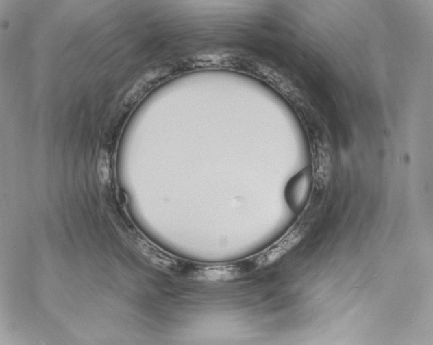 X0000069390758200606091716