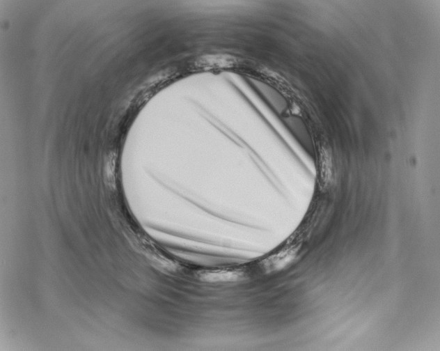 X0000069390759200606091716