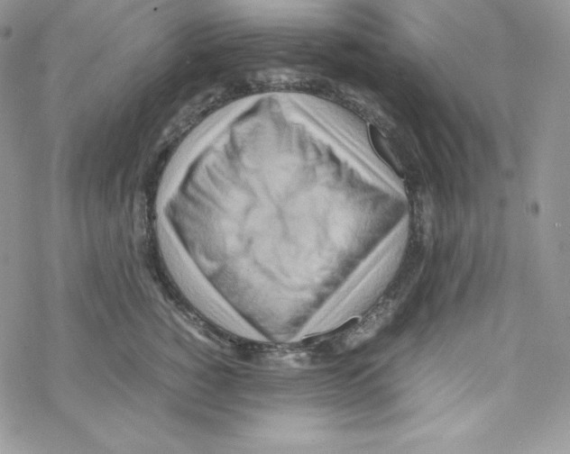 X0000069390760200606091716