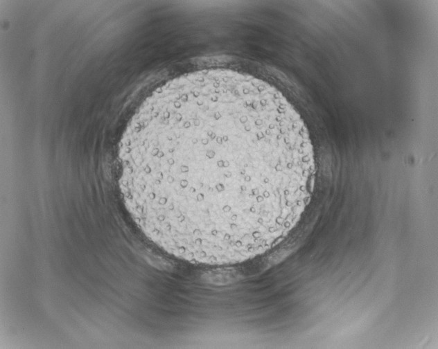 X0000069390761200606091716