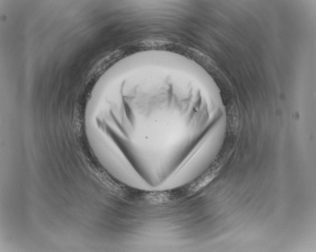 X0000069390762200606091716