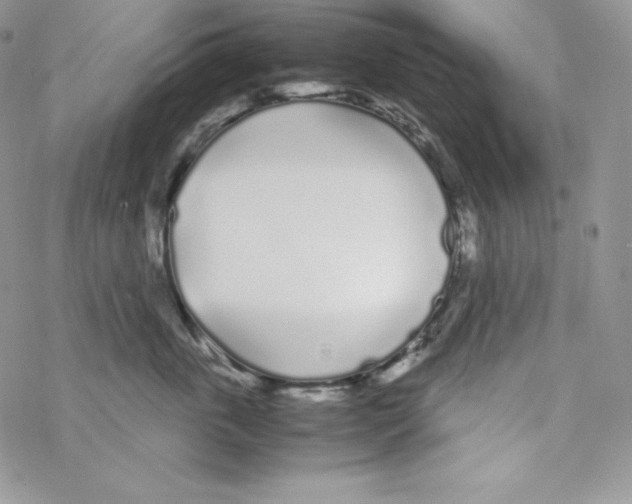 X0000069390763200606091716