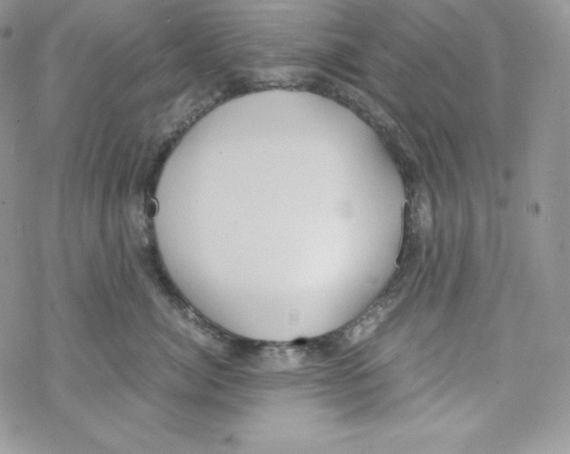 X0000069390764200606091716