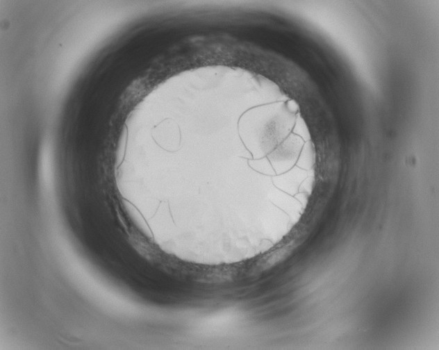 X0000069390765200606091716