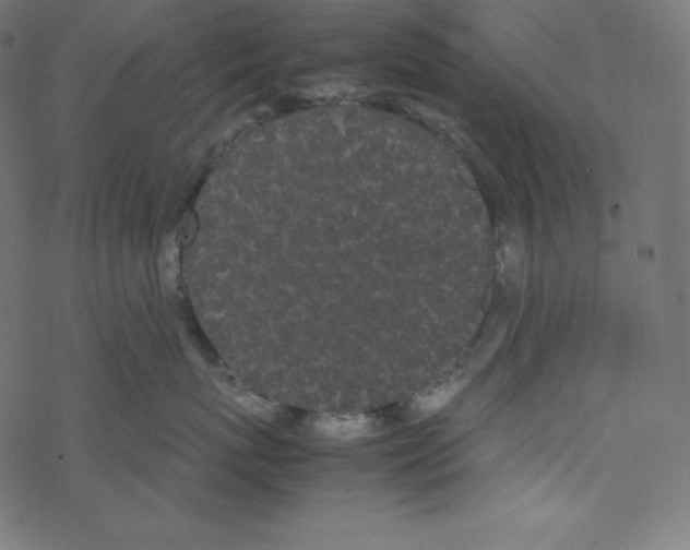 X0000069390767200606091716