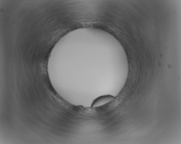 X0000069390768200606091716