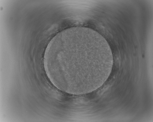 X0000069390769200606091716