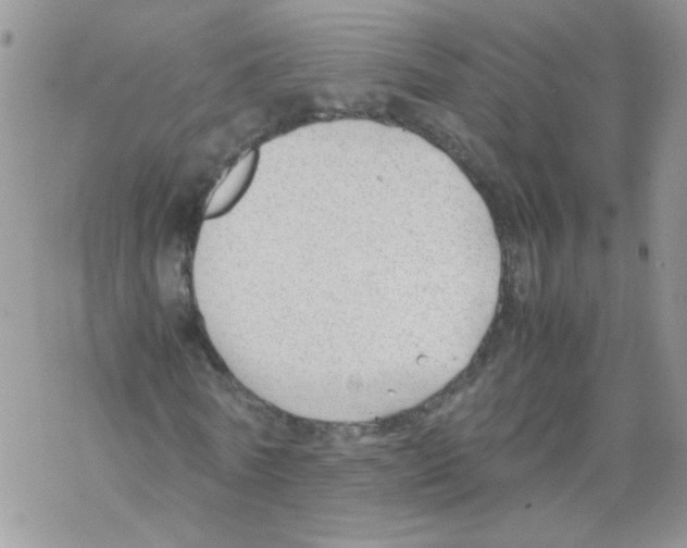 X0000069390770200606091716