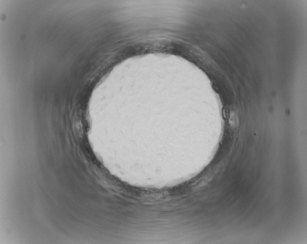 X0000069390771200606091716