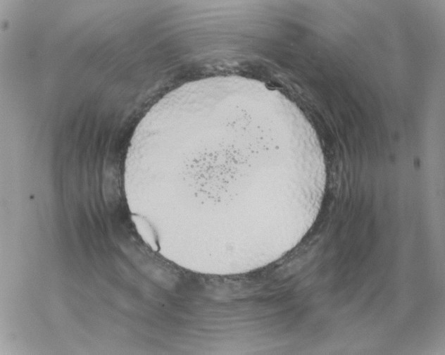 X0000069390772200606091716