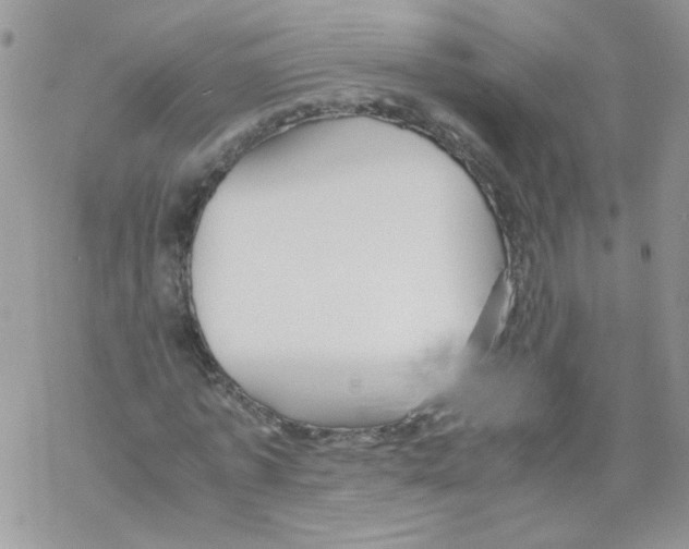 X0000069390773200606091716