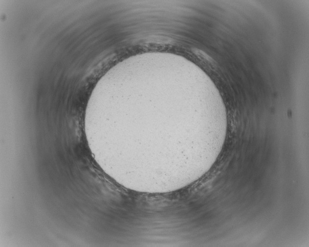 X0000069390774200606091715