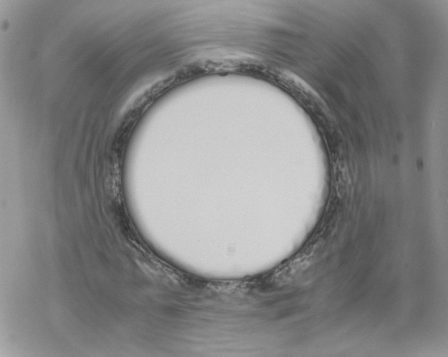 X0000069390775200606091715