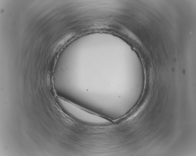 X0000069390777200606091715