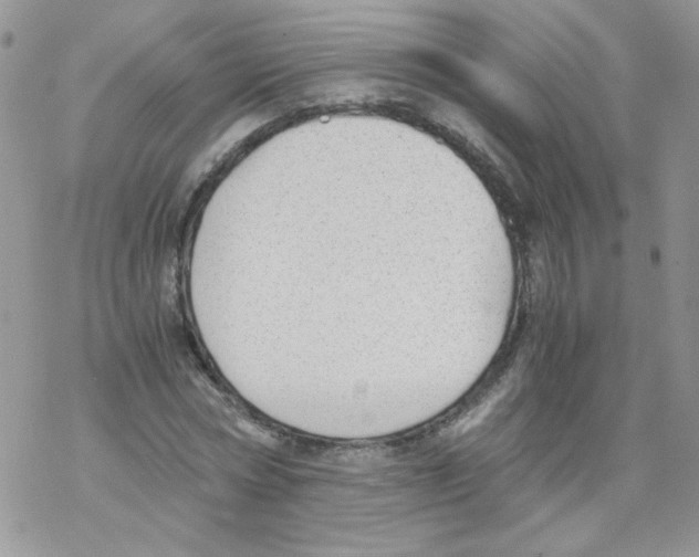 X0000069390778200606091715