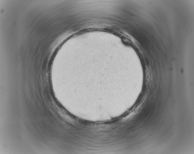 X0000069390779200606091715