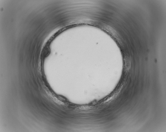 X0000069390780200606091715