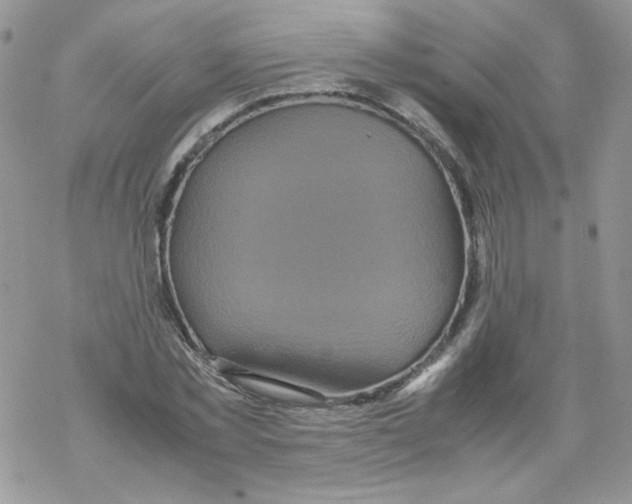 X0000069390781200606091715