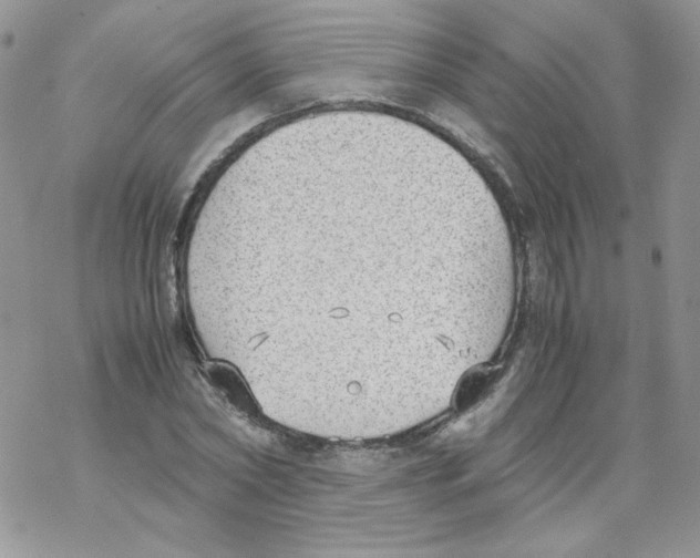 X0000069390782200606091715