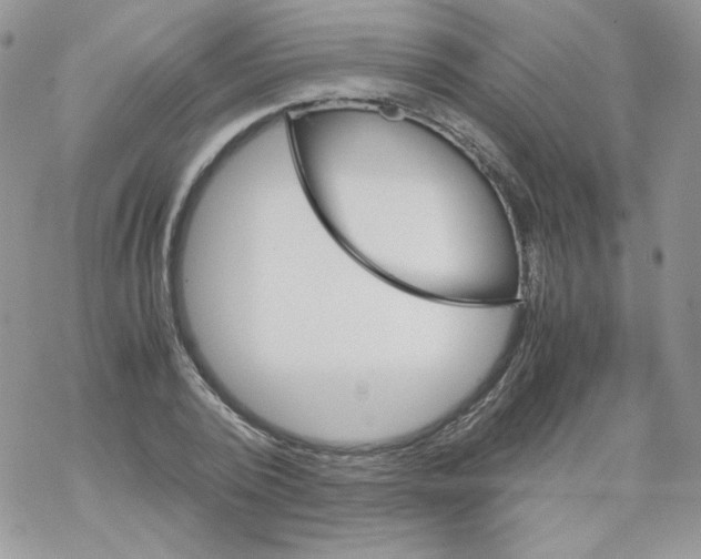 X0000069390784200606091715