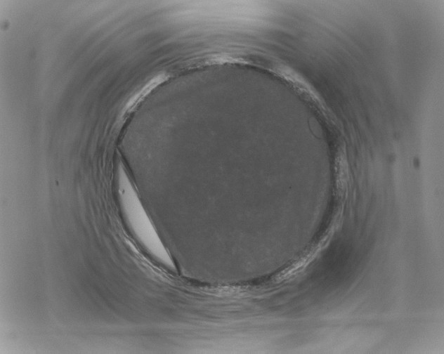 X0000069390785200606091715