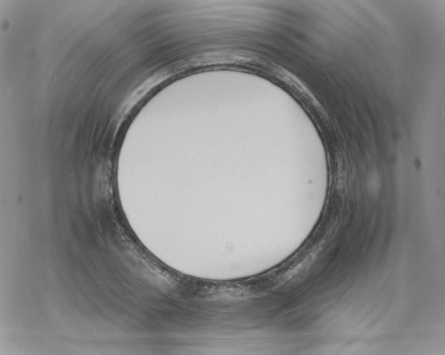 X0000069390786200606091715