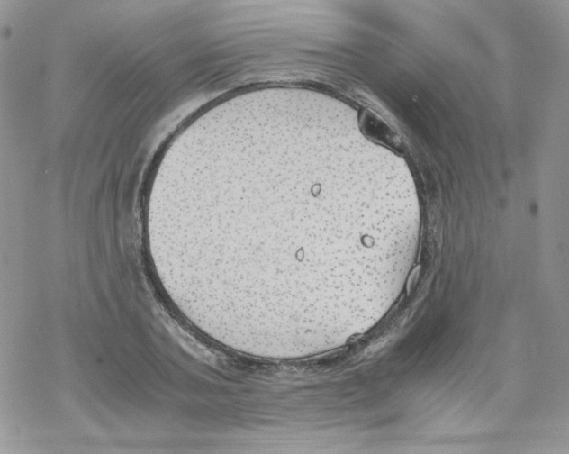 X0000069390787200606091715