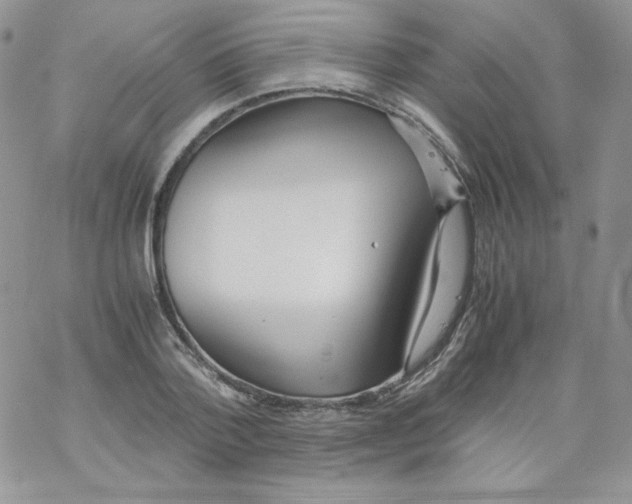 X0000069390788200606091715