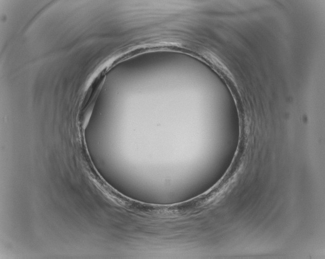 X0000069390789200606091715