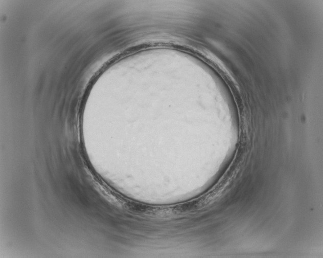 X0000069390791200606091715