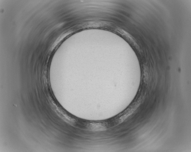 X0000069390794200606091715