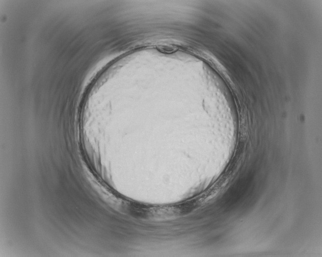 X0000069390795200606091715