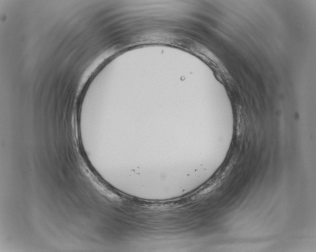 X0000069390796200606091715