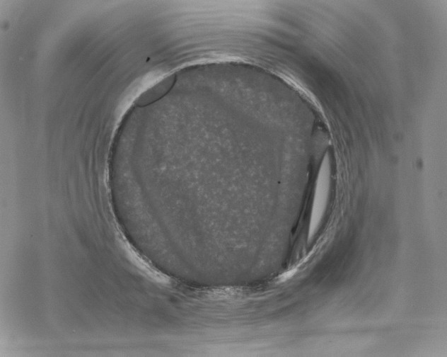 X0000069390797200606091715