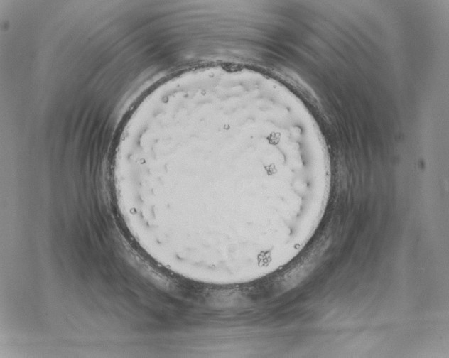 X0000069390798200606091715